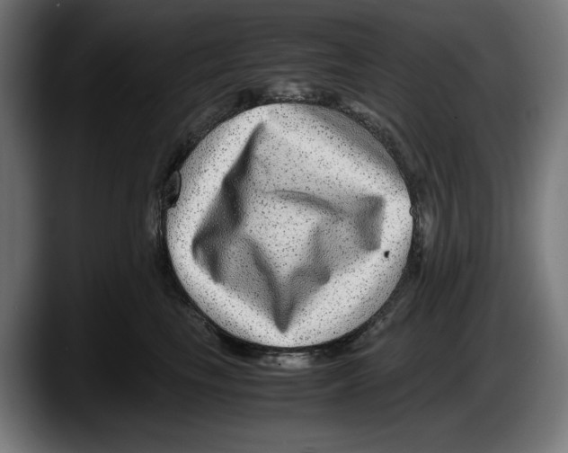 X0000087580665200705251842