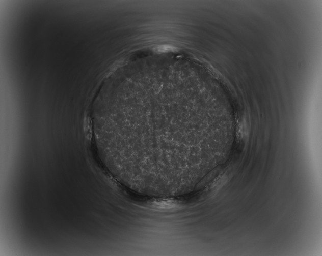 X0000087580666200705251842