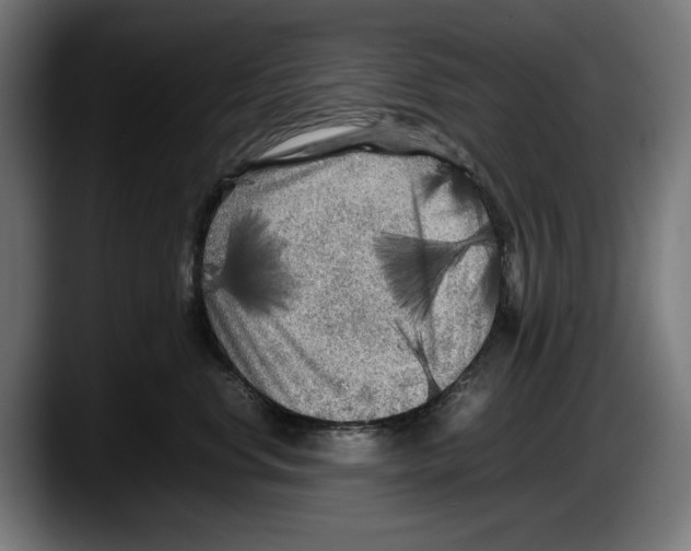X0000087580668200705251842