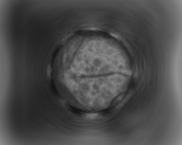 X0000087580669200705251842