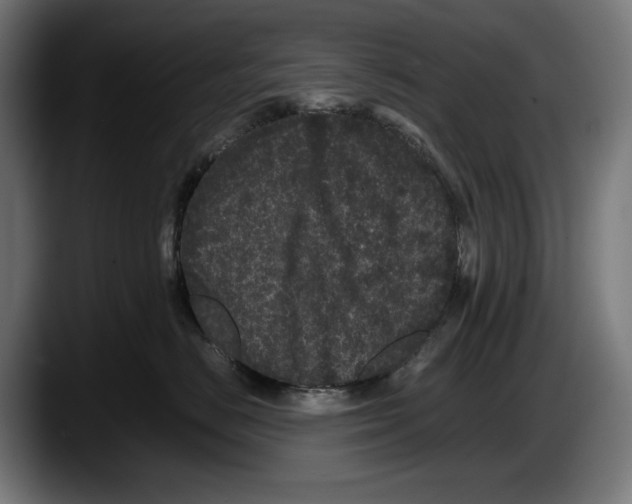 X0000087580670200705251842