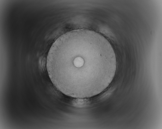 X0000087580672200705251842