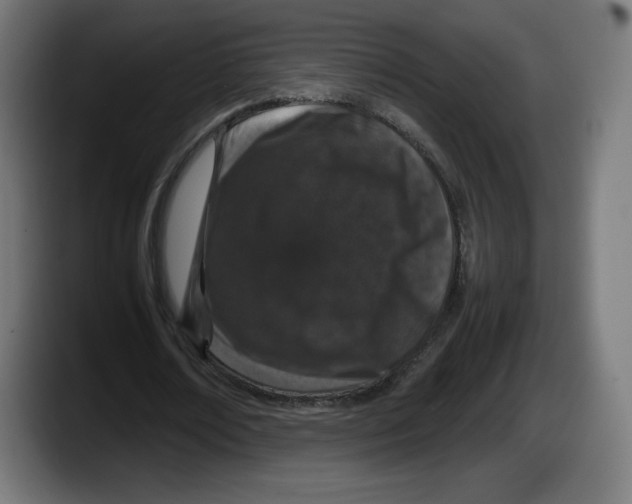 X0000087580674200705251842