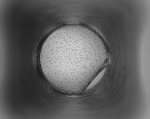 X0000087580675200705251842