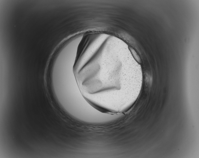 X0000087580676200705251842