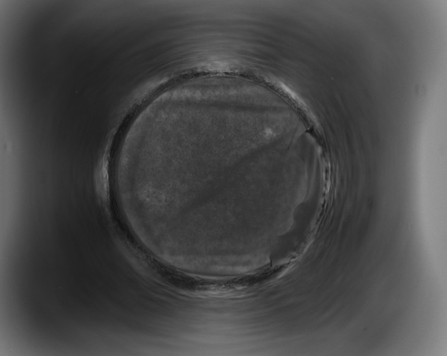 X0000087580678200705251842