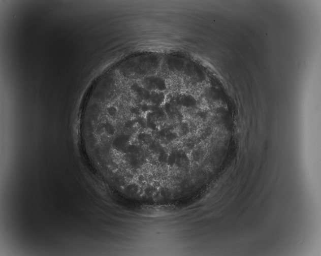 X0000087580679200705251842