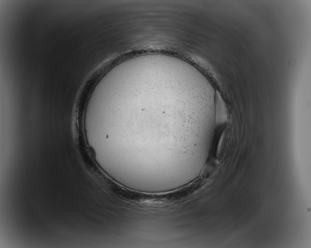 X0000087580680200705251841