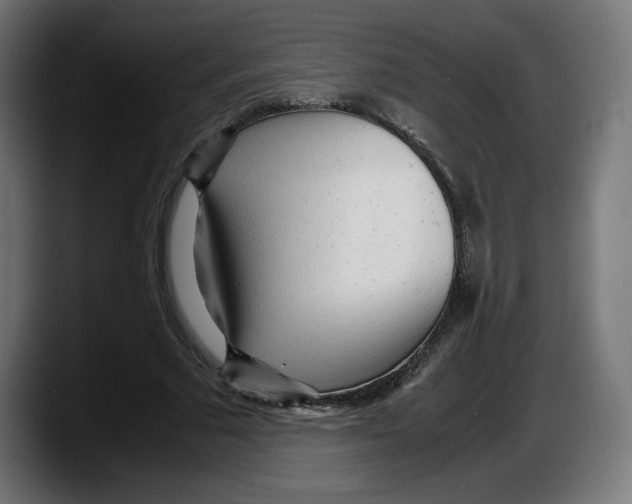X0000087580681200705251841