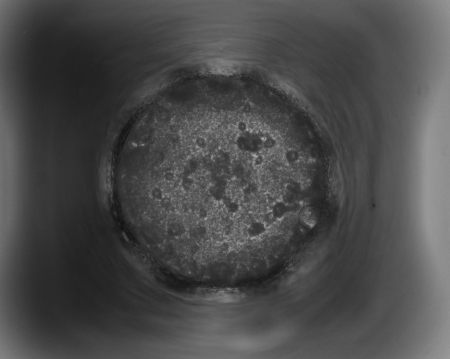 X0000087580683200705251841