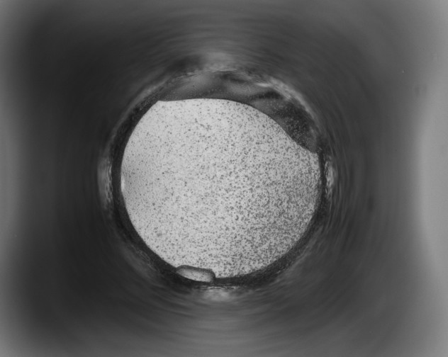 X0000087580684200705251841