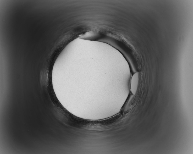 X0000087580685200705251841