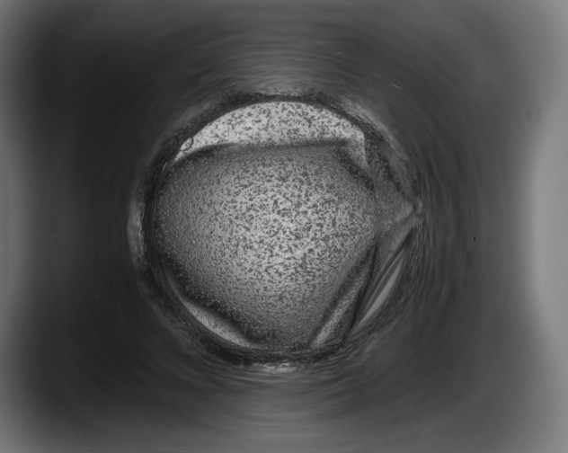 X0000087580688200705251841