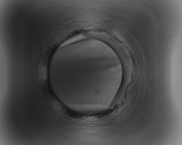 X0000087580689200705251841