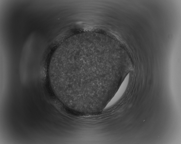 X0000087580691200705251841