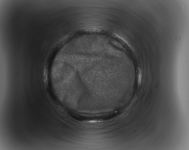 X0000087580692200705251841