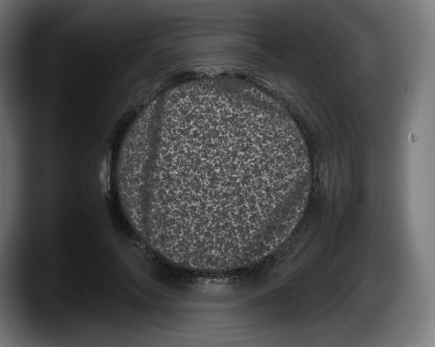 X0000087580694200705251841