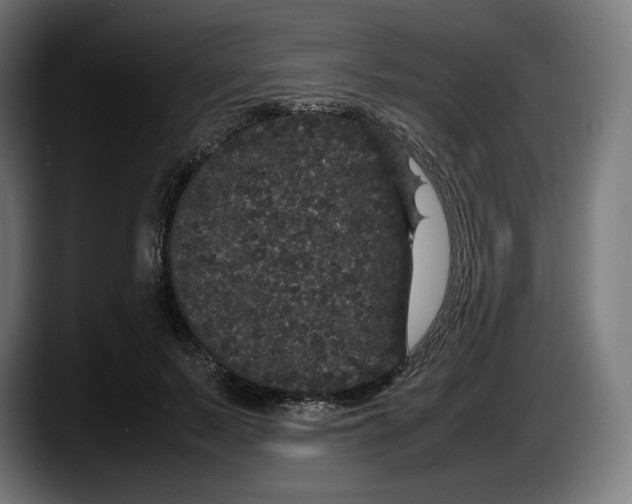 X0000087580695200705251841