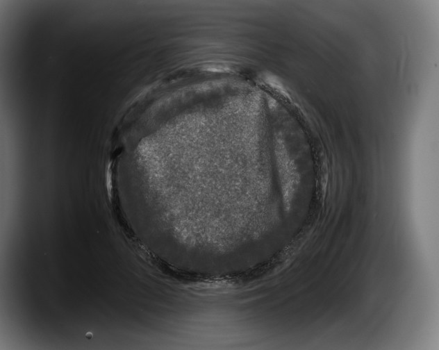 X0000087580696200705251841