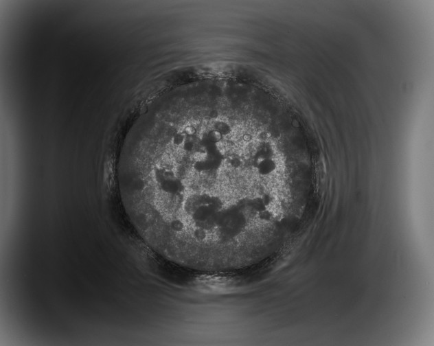 X0000087580699200705251841
