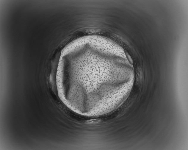 X0000087580700200705251841