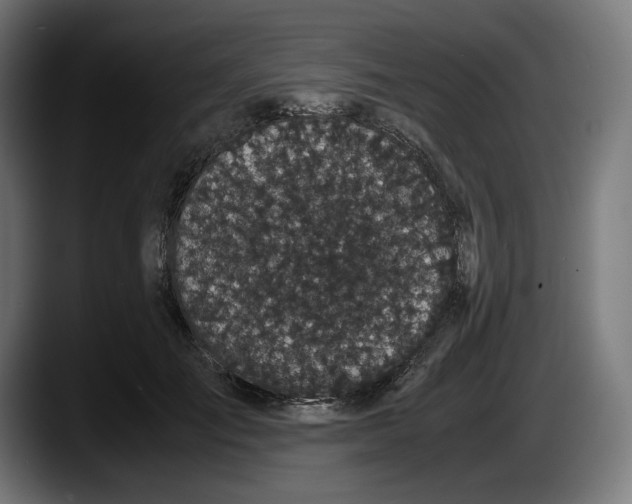 X0000087580701200705251841