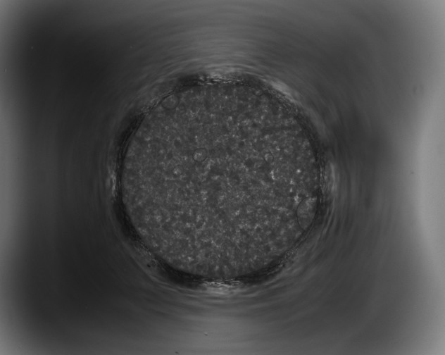 X0000087580703200705251841