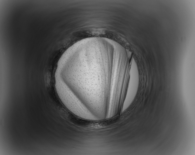 X0000087580704200705251841
