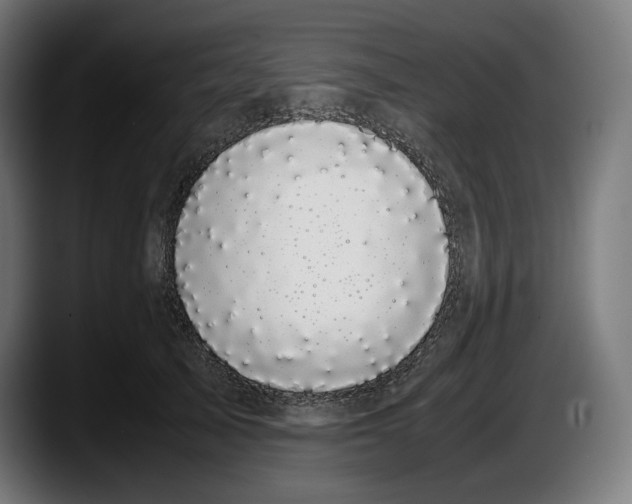 X0000087580705200705251841