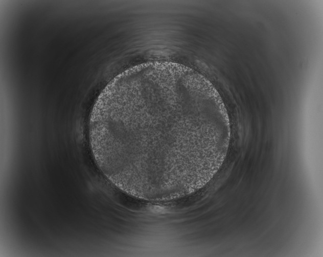 X0000087580706200705251841