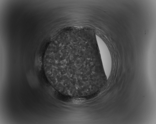 X0000087580707200705251841