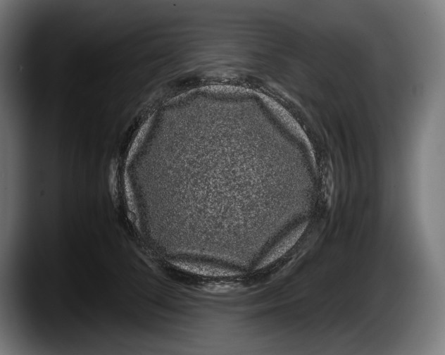X0000087580708200705251841