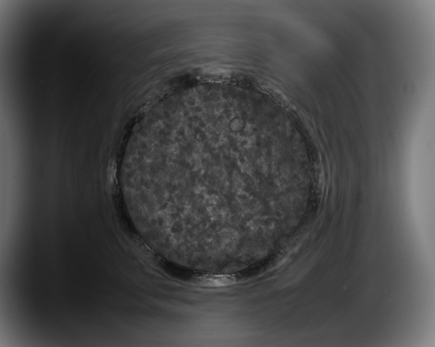 X0000087580711200705251841