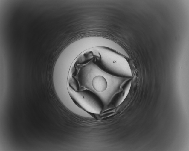 X0000087580712200705251841