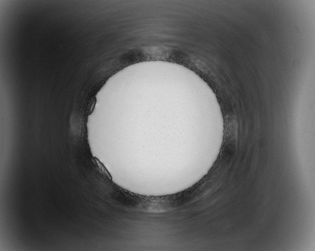 X0000087580713200705251841
