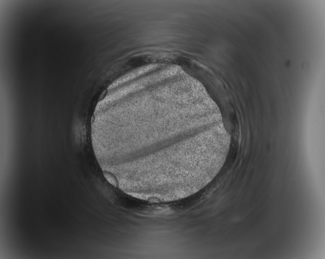 X0000087580715200705251841