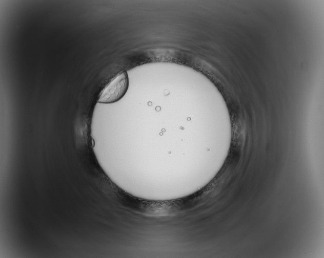 X0000087580717200705251841