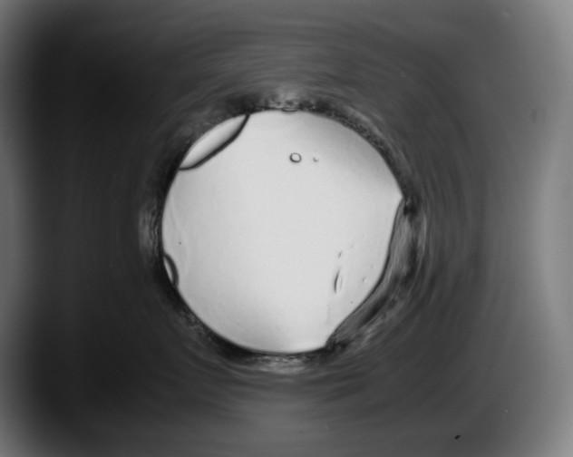 X0000087580719200705251841