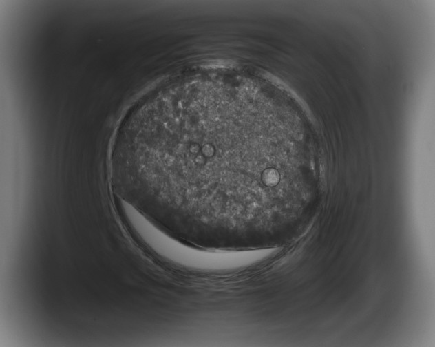 X0000087580721200705251840