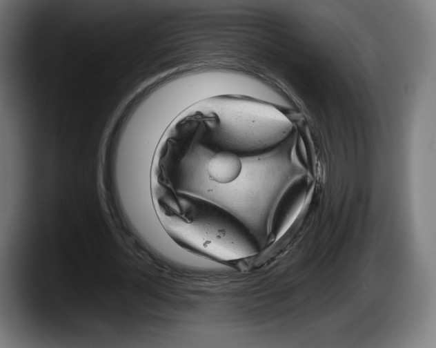 X0000087580724200705251840