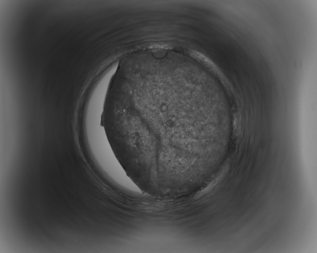 X0000087580725200705251840