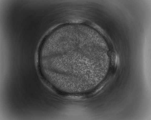 X0000087580726200705251840