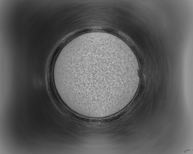 X0000087580728200705251840