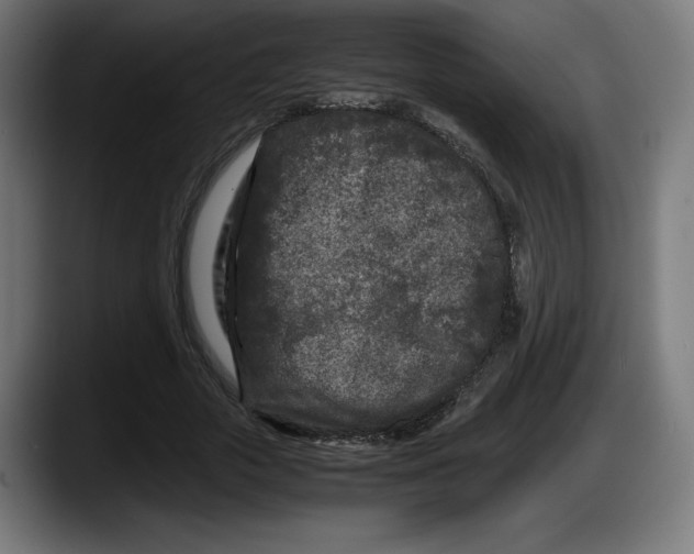 X0000087580729200705251840