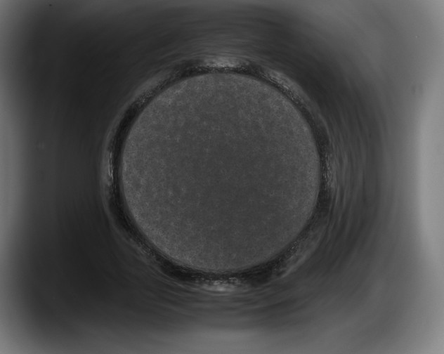 X0000087580731200705251840