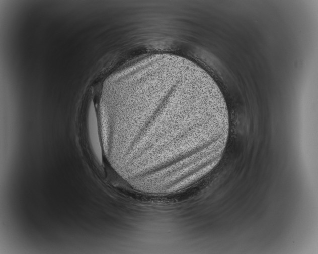 X0000087580738200705251841