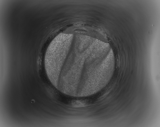 X0000087580739200705251841