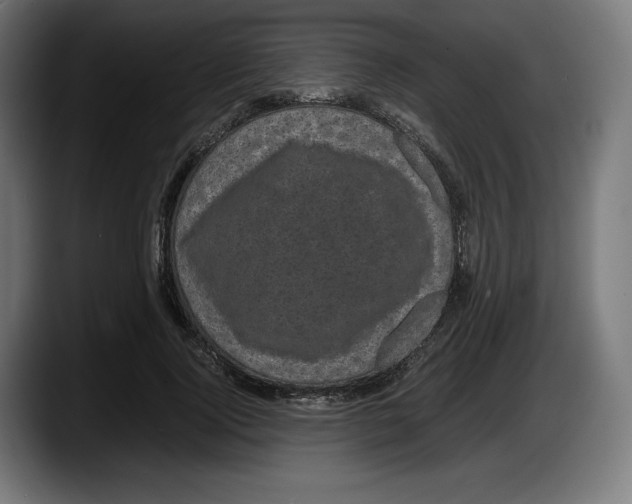 X0000087580740200705251841