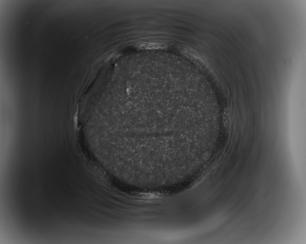 X0000087580741200705251841