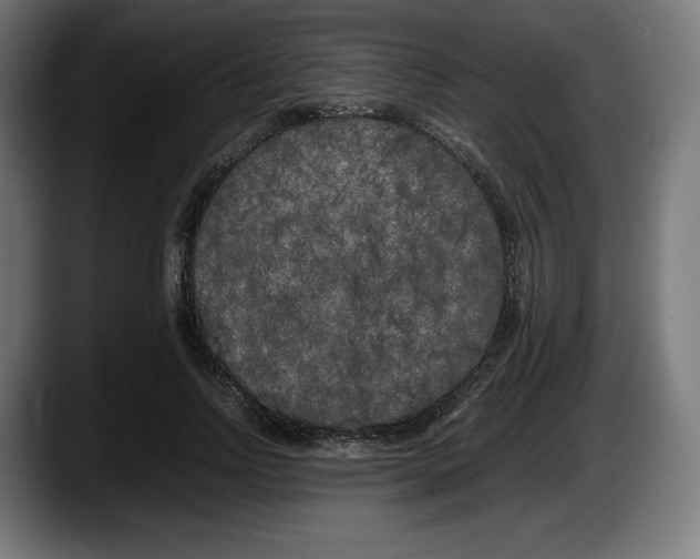 X0000087580742200705251841
